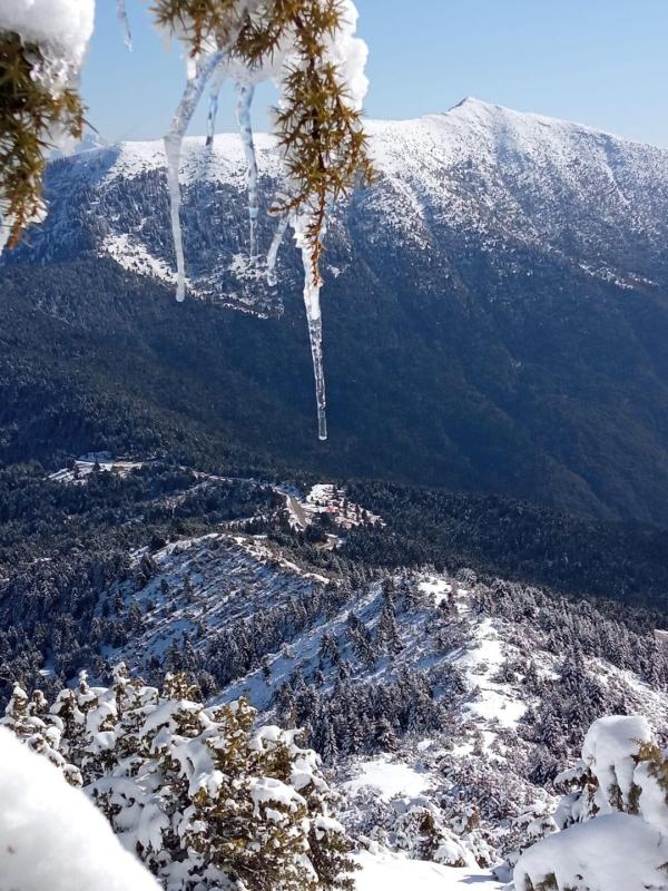 ΚΡΕΟΠΩΛΕΙΟ ΑΝΕΜΟΔΑΡΜΕΝΟ ΔΙΑΣΕΛΟ ΝΑΥΠΑΚΤΟΣ ΑΝΤΩΝΟΠΟΥΛΟΣ ΙΩΑΝΝΗΣ
