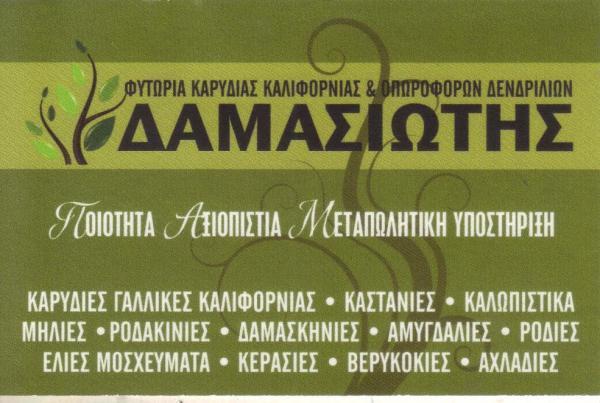 ΦΥΤΩΡΙΑ ΔΑΜΑΣΙΩΤΗΣ