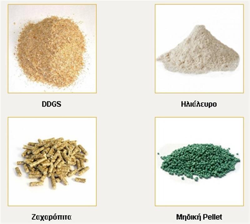 ΖΩΟΤΡΟΦΕΣ ΑΓΙΟΣ ΛΟΥΚΑΣ ΓΙΑΝΝΙΤΣΑ ΠΕΛΛΑ ΚΑΡΥΠΙΔΗΣ ΚΩΝΣΤΑΝΤΙΝΟΣ