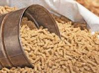 ΖΩΟΤΡΟΦΕΣ ΠΤΗΝΟΤΡΟΦΕΣ ΙΧΘΥΟΤΡΟΦΕΣ ΑΓΙΑ ΤΡΙΑΔΑ ΑΡΓΟΛΙΔΑ ΠΑΠΑΓΕΩΡΓΟΠΟΥΛΟΣ ΜΑΡΙΝΟΣ ΚΑΙ ΣΙΑ ΟΕ