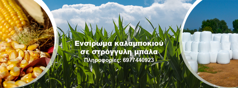 ΖΩΟΤΡΟΦΕΣ ΕΝΣΙΡΩΜΑΤΑ ΚΑΛΑΜΠΟΚΙΟΥ ΚΑΤΕΡΙΝΗ ΠΙΕΡΙΑ ΠΑΠΑΠΑΡΑΣΧΟΥ ΓΕΩΡΓΙΟΣ