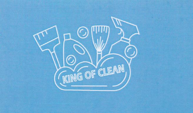 ΣΥΝΕΡΓΕΙΟ ΚΑΘΑΡΙΣΜΟΥ ΚΑΘΑΡΙΣΜΟΣ ΚΤΙΡΙΩΝ KING OF CLEAN ΣΧΙΣΤΟ ΚΟΡΥΔΑΛΛΟΣ NETA ALBERT
