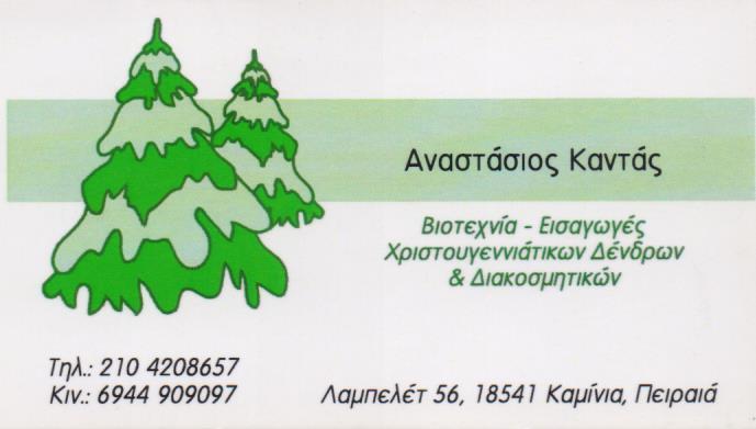 ΒΙΟΤΕΧΝΙΑ ΧΡΙΣΤΟΥΓΕΝΝΙΑΤΙΚΩΝ ΔΕΝΤΡΩΝ ΣΤΟΛΙΔΙΑ ΧΡΙΣΤΟΥΓΕΝΝΙΑΤΙΚΑ ΔΕΝΤΡΑ ΠΕΙΡΑΙΑΣ ΚΑΝΤΑΣ ΑΝΑΣΤΑΣΙΟΣ