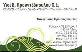 ΠΡΟΥΝΤΖΟΠΟΥΛΟΣ ΤΕΧΝΗΤΑ ΦΥΤΑ ΤΕΧΝΗΤΑ ΑΝΘΗ ΠΡΑΣΙΝΑΔΕΣ ΑΘΗΝΑ ΥΙΟΙ ΠΡΟΥΝΤΖΟΠΟΥΛΟΥ 