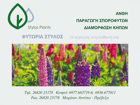 ΕΜΠΟΡΙΟ ΑΝΘΕΩΝ ΦΥΤΑ ΦΥΤΩΡΙΑ S PLANTS ΠΡΕΒΕΖΑ ΣΤΥΛΟΣ ΔΗΜΗΤΡΙΟΣ