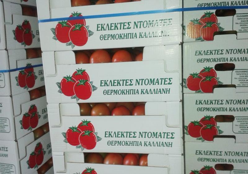 ΑΓΡΟΤΙΚΑ ΠΡΟΙΟΝΤΑ ΚΑΛΛΙΕΡΓΕΙΕΣ ΚΥΠΑΡΙΣΣΙΑ ΚΑΛΛΙΑΝΗΣ ΓΕΩΡΓΙΟΣ