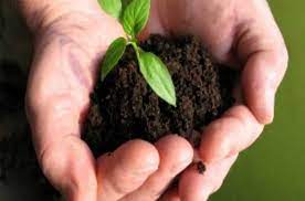 ΓΕΩΡΓΙΚΑ ΦΑΡΜΑΚΑ ΑΛΕΞΑΝΔΡΕΙΑ ΗΜΑΘΙΑ ΣΤΡΑΚΑΣ ΚΩΝΣΤΑΝΤΙΝΟΣ