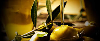 ΑΓΡΟΤΙΚΟΣ ΕΛΑΙΟΥΡΓΙΚΟΣ ΣΥΝΕΤΑΙΡΙΣΜΟΣ ΚΑΛΑΜΑΤΑΣ ΕΛΑΙΟΤΡΙΒΕΙΟ ΕΛΑΙΟΠΑΡΑΓΩΓΗ ΚΑΛΑΜΑΤΑ