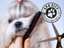 ΠΕΡΙΠΟΙΗΣΗ ΖΩΩΝ SPA CITY AND GROUMING ΚΑΛΑΜΑΤΑ ΜΕΣΣΗΝΙΑ ΡΟΥΜΠΟΣ ΔΗΜΟΣΘΕΝΗΣ