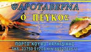 ΠΕΥΚΟΣ ΕΣΤΙΑΤΟΡΙΟ ΤΑΒΕΡΝΑ  ΨΑΡΟΤΑΒΕΡΝΑ ΕΣΤΙΑΤΟΡΙΑ ΤΑΒΕΡΝΕΣ ΠΟΡΤΟ ΚΟΥΦΟ ΧΑΛΚΙΔΙΚΗΣ ΜΩΡΙΚΑ ΘΩΜΑΗ 